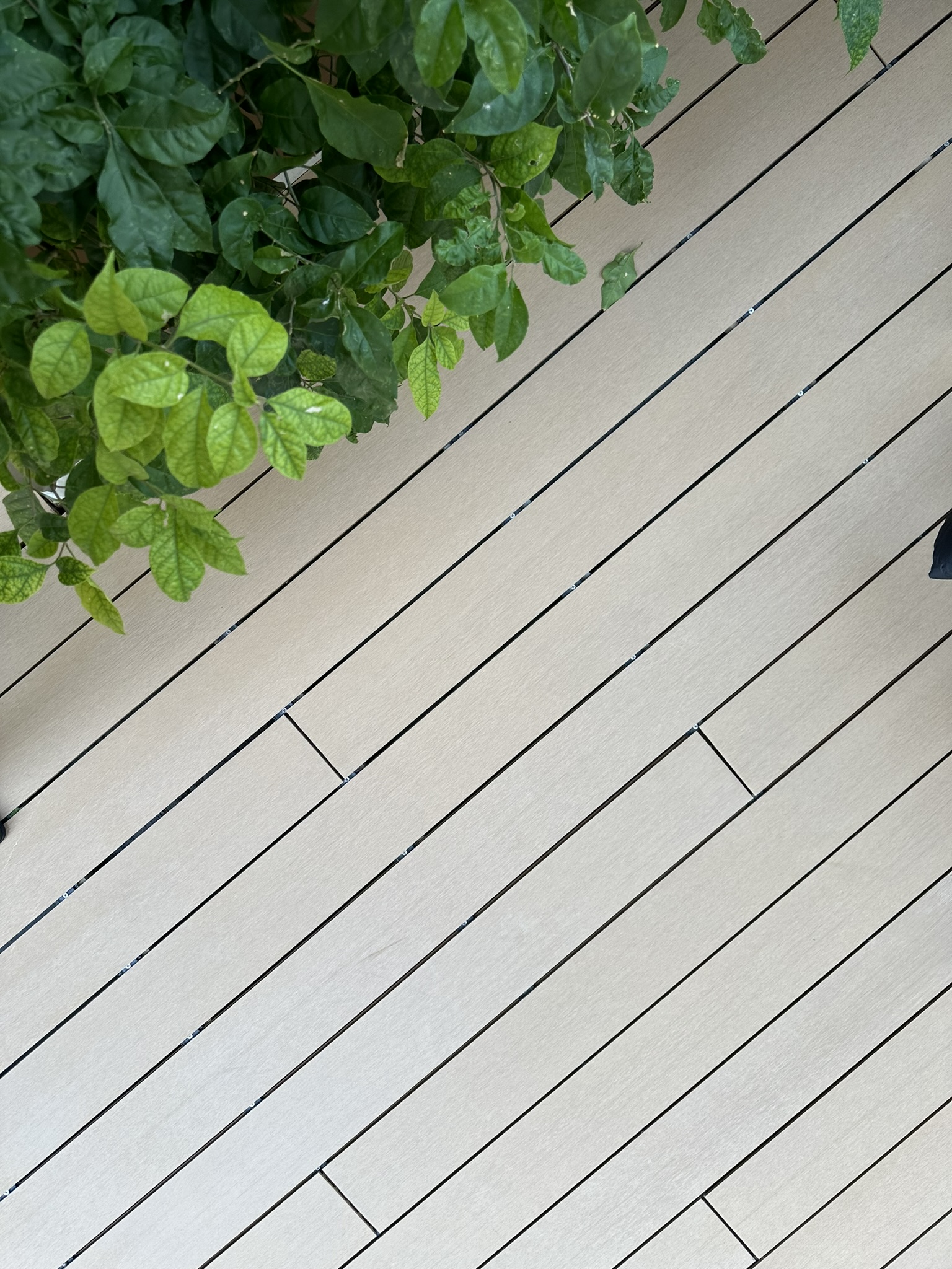 Decks
